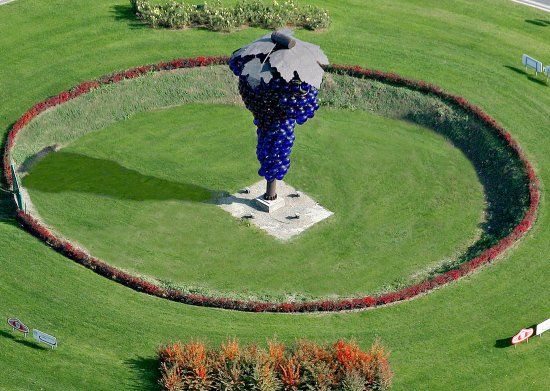 Rotonda Grappolo D'Uva